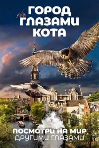   Город глазами кота (2018)